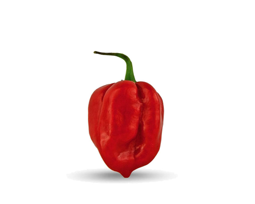 habanero-pepper-red