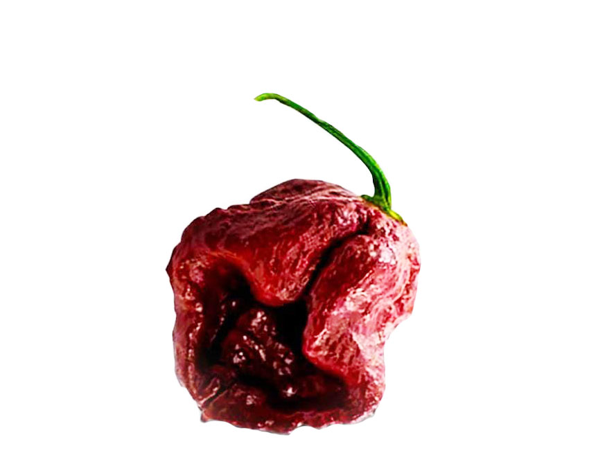 hot-pepper-7-POT-douglah