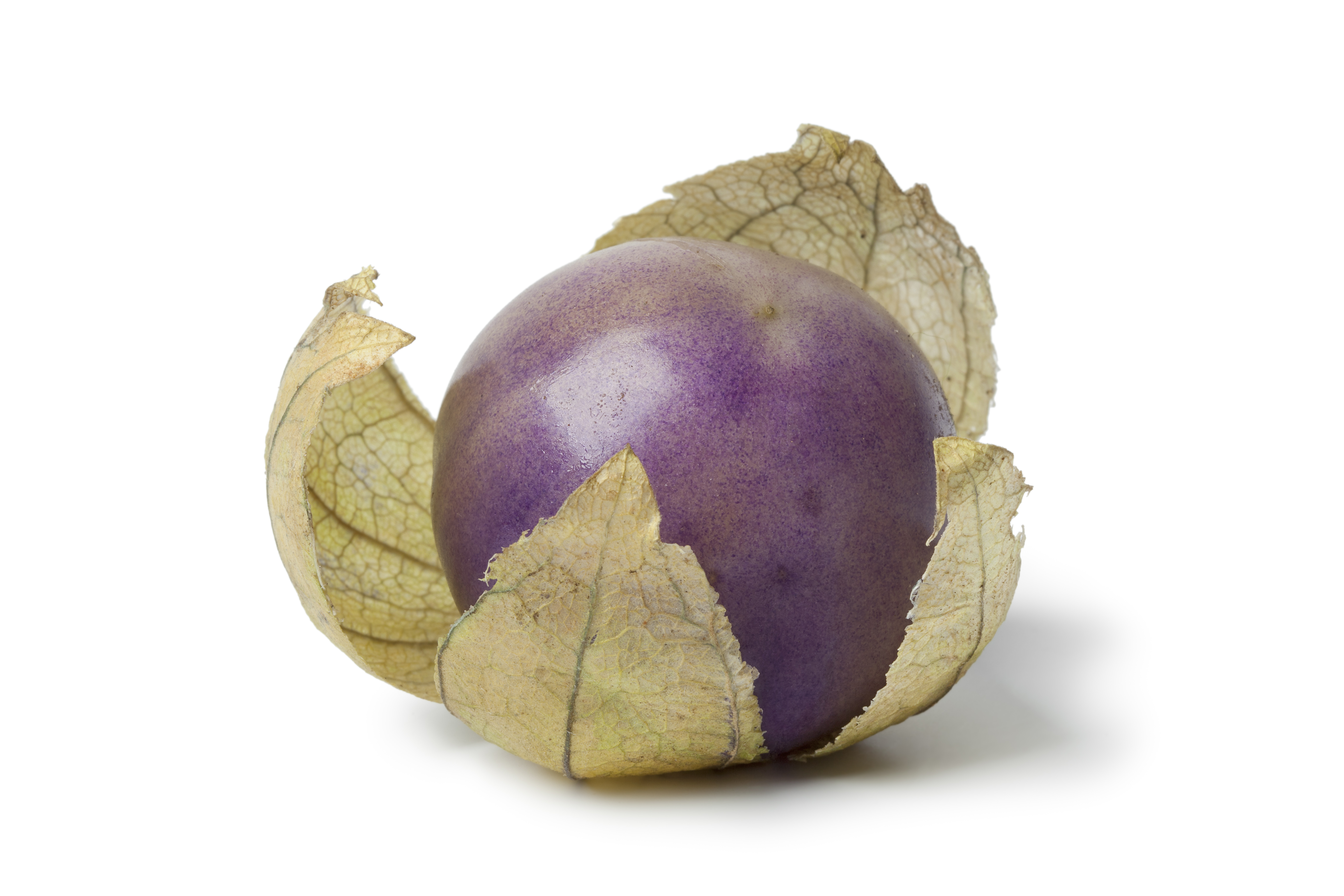 Fresh purple tomatillo in a husk on white background